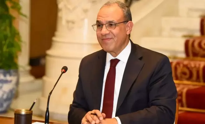 وزير الخارجية المصري بدر عبد العاطي 18-12