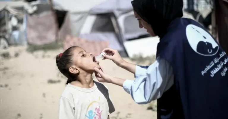 photo_٢٠٢٥-١٢-٣٠_١٠-٤٦-٤٥