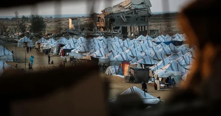 photo_٢٠٢٥-١٢-٣١_٠٨-٥٤-٢٣